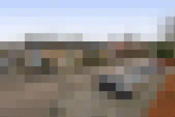 Leeuwenbekstraat 6 Waalwijk thumbnail 5