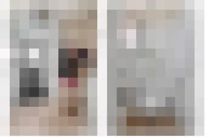 Leeuwenbekstraat 6 Waalwijk thumbnail 6