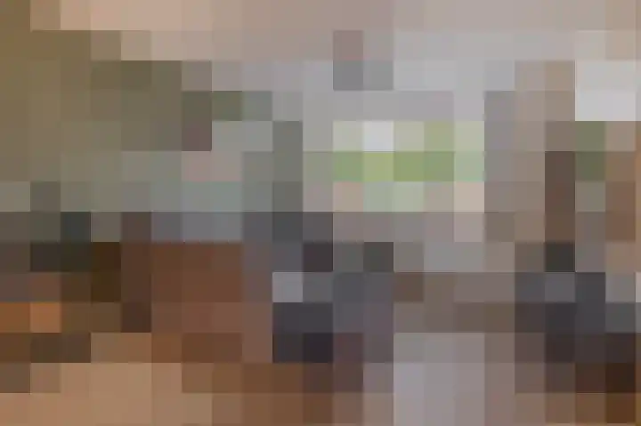 Leeuwenbekstraat 6 Waalwijk thumbnail 7