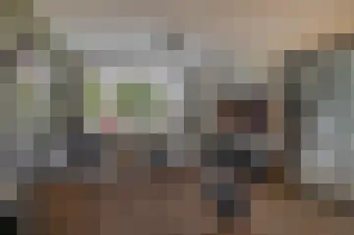 Leeuwenbekstraat 6 Waalwijk thumbnail 8