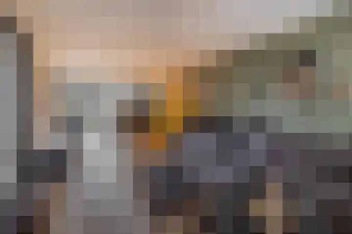 Leeuwenbekstraat 6 Waalwijk thumbnail 9