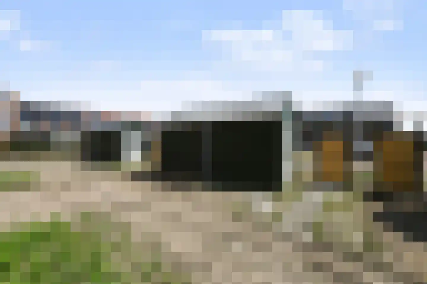 Leeuwenbektuin 17 Pijnacker thumbnail 11
