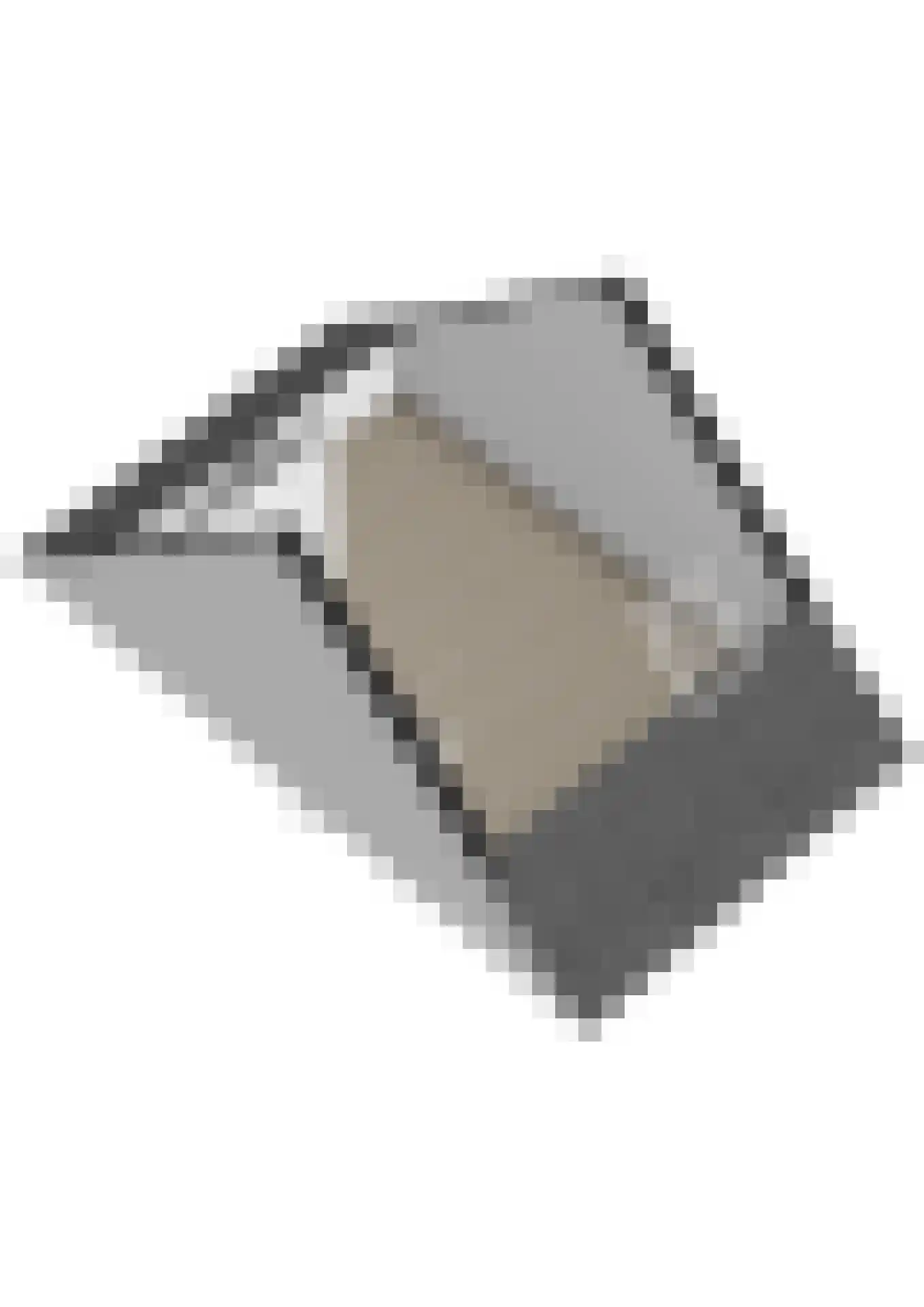 Leeuwenbektuin 17 Pijnacker thumbnail 38