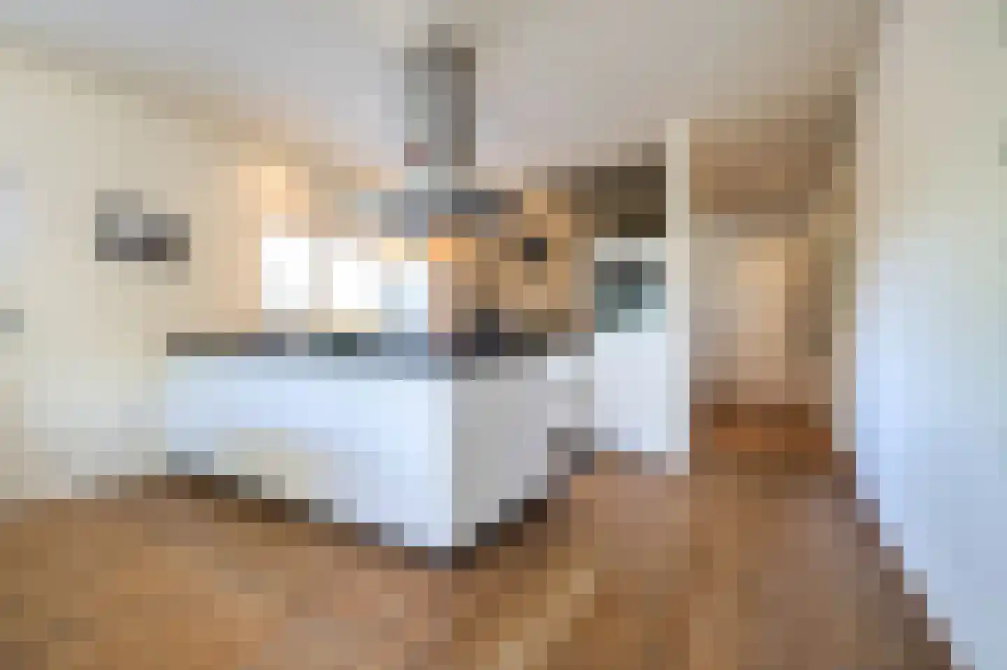 Leeuwenbekweg 4 Bergen (NH) thumbnail 10