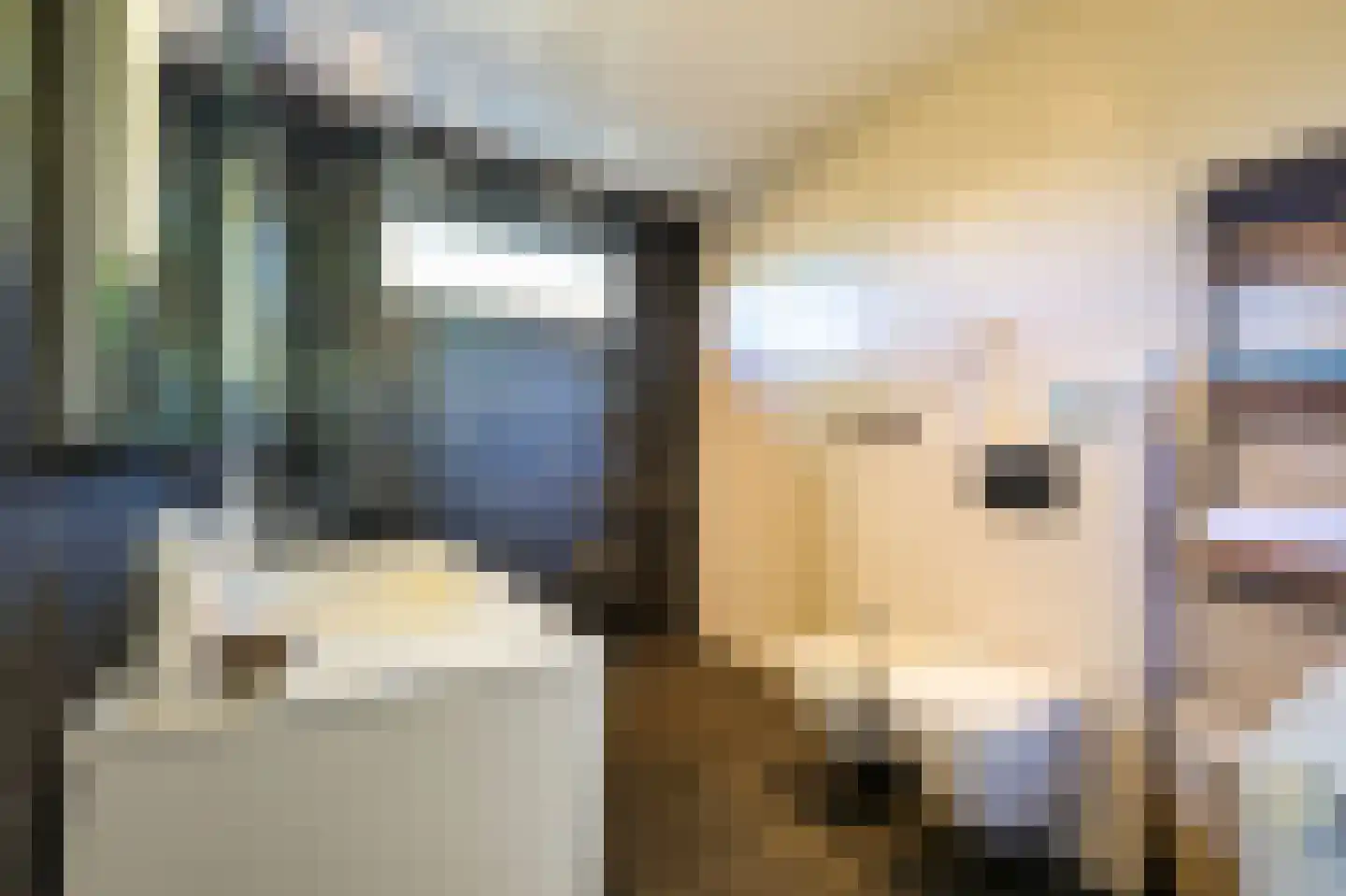 Leeuwenbekweg 4 Bergen (NH) thumbnail 13