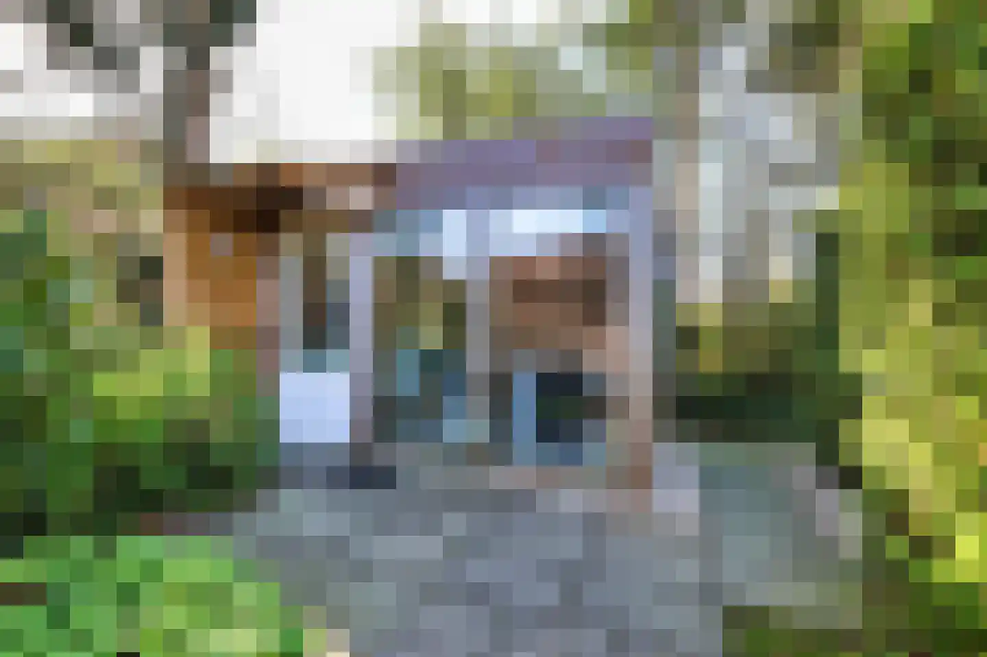 Leeuwenbekweg 4 Bergen (NH) thumbnail 22