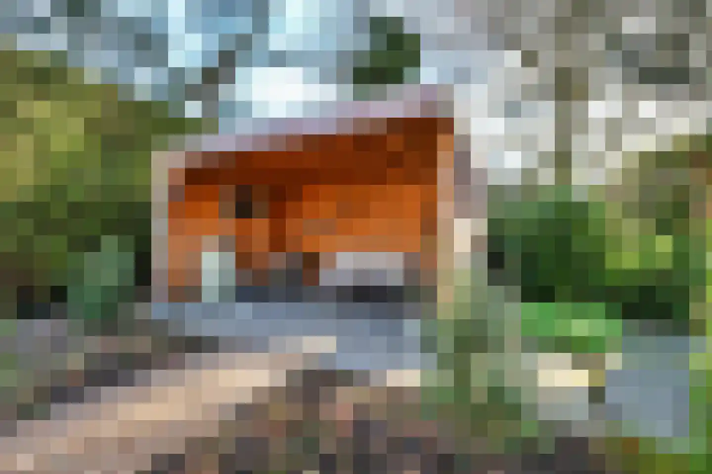 Leeuwenbekweg 4 Bergen (NH) thumbnail 26