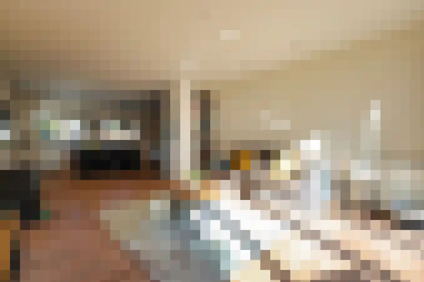 Leeuwenbekweg 4 Bergen (NH) thumbnail 8