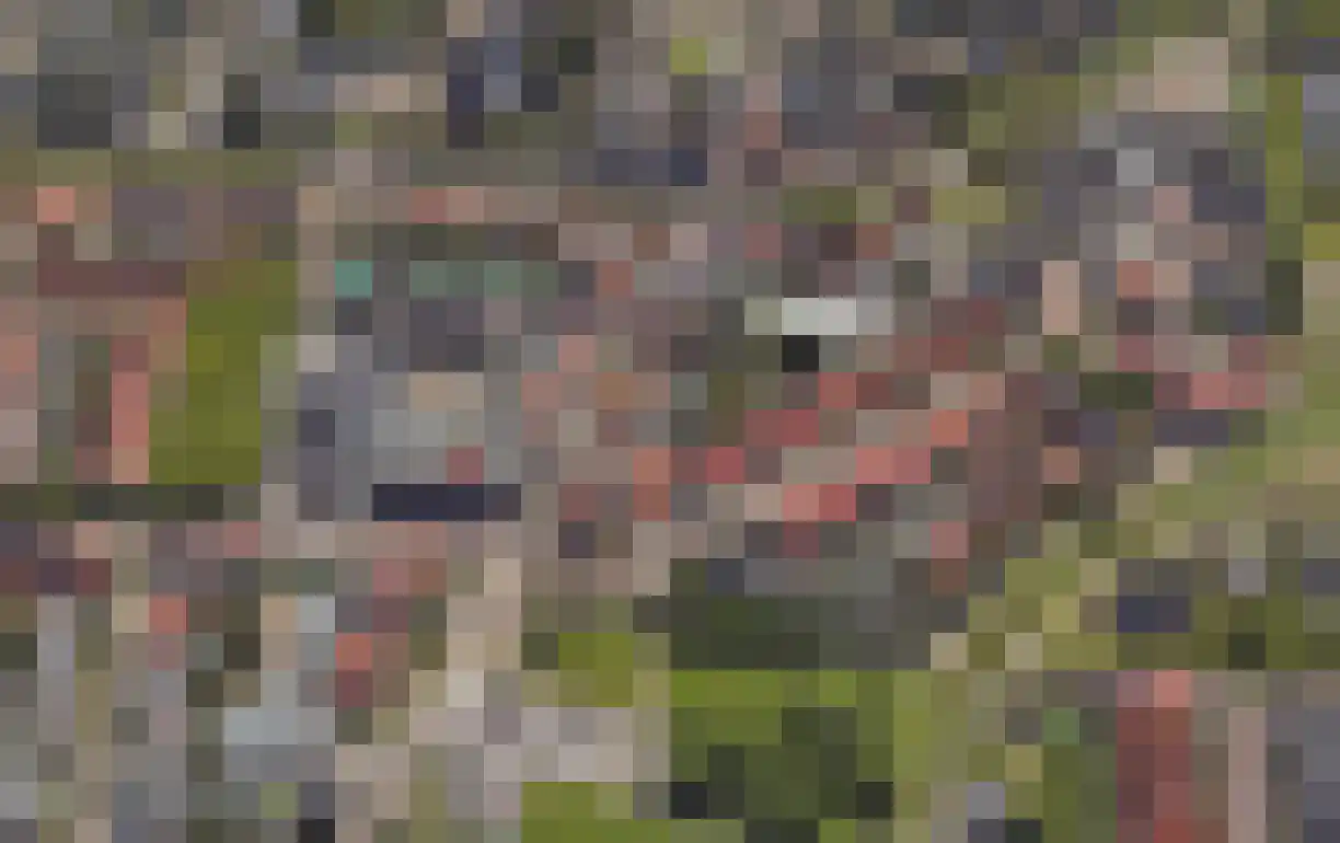 Leeuwenberg 20 Den Hoorn thumbnail 31