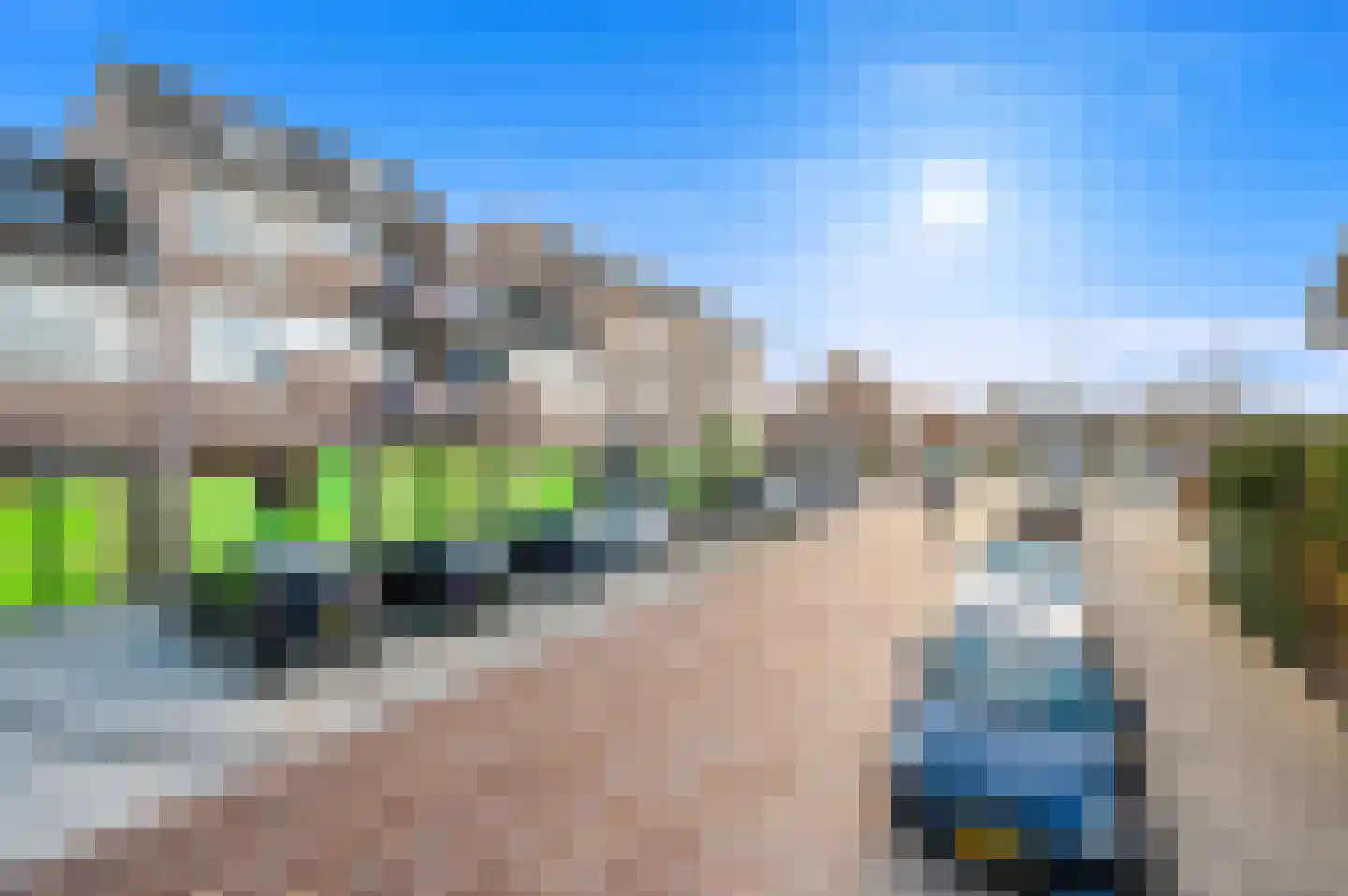 Leeuwenberg 20 Den Hoorn thumbnail 6