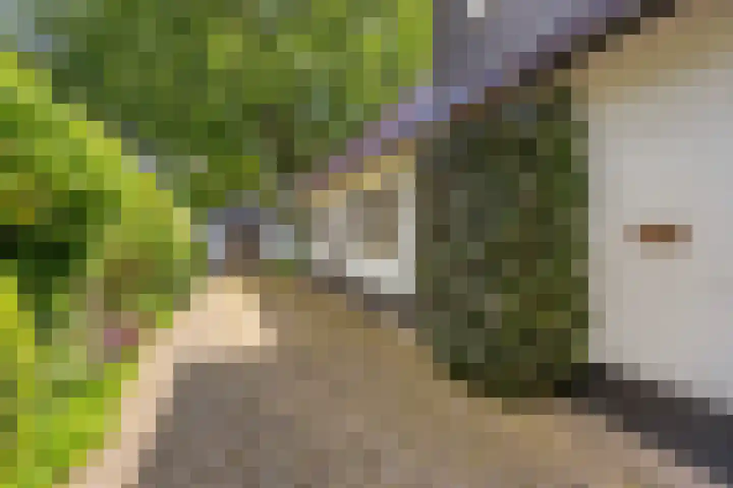 Leeuwenbergweg 31 Loenen thumbnail 69