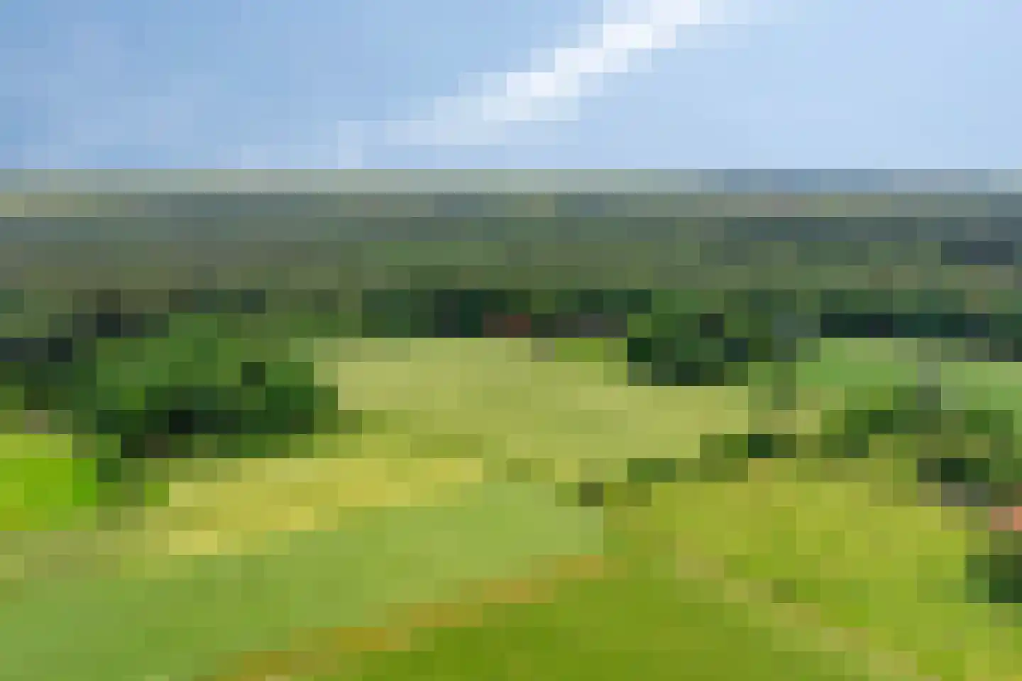Leeuwenbergweg 31 Loenen thumbnail 76