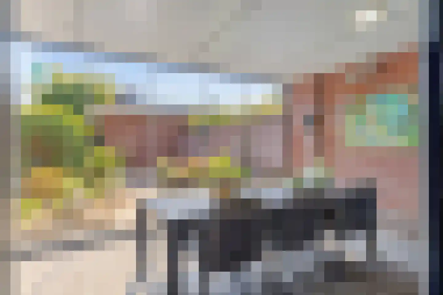 Leeuwenborchweide 40 Helmond thumbnail 17