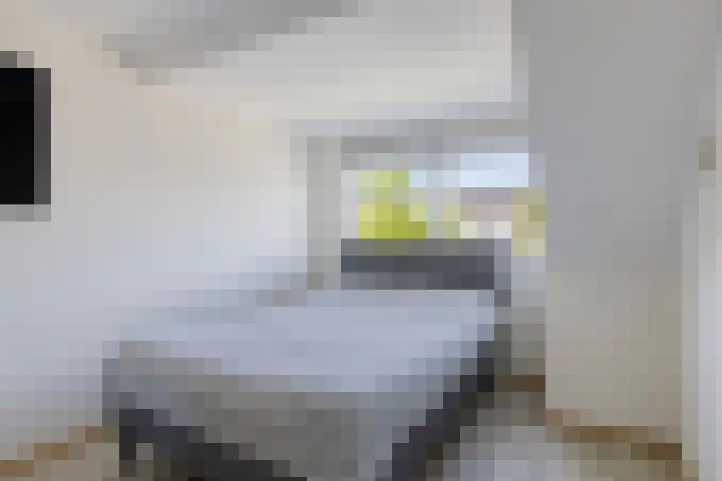 Leeuwenborchweide 40 Helmond thumbnail 31