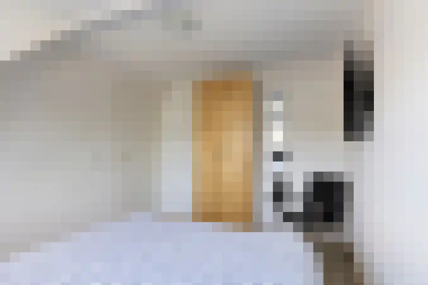 Leeuwenborchweide 40 Helmond thumbnail 32
