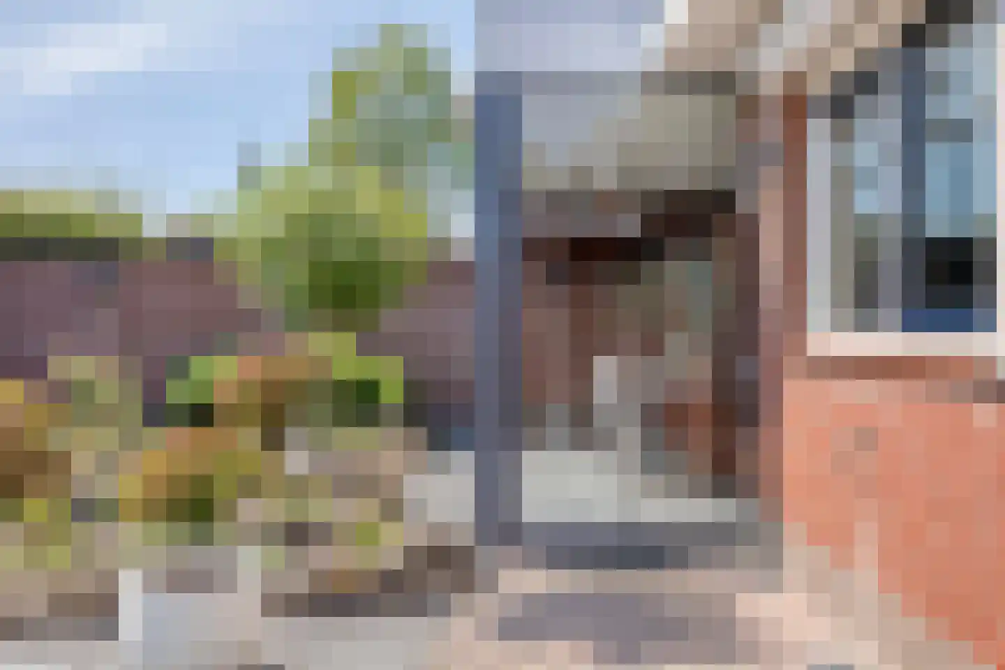 Leeuwenborchweide 40 Helmond thumbnail 36
