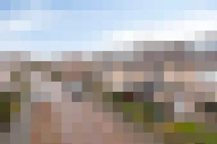 Leeuwenburg 25 Heemskerk thumbnail 23