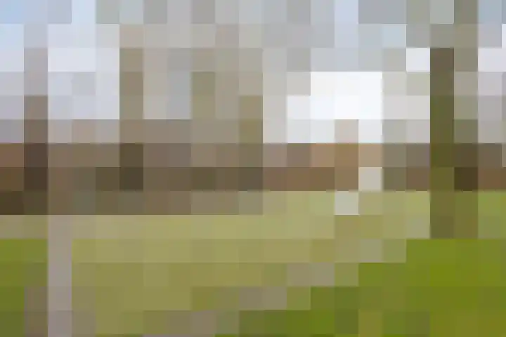 Leeuwenburg 25 Heemskerk thumbnail 24