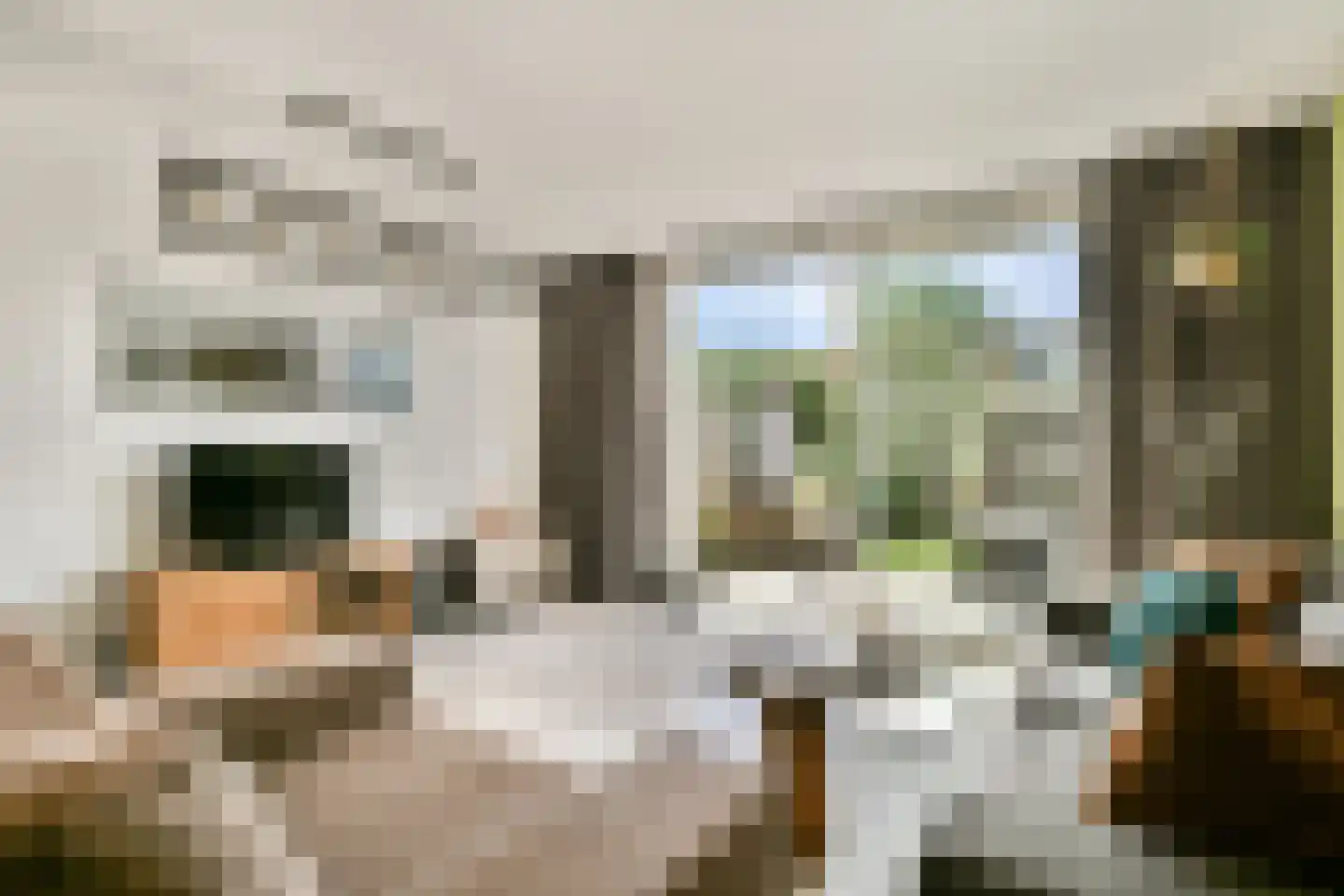 Leeuwenburg 27 Alphen aan den Rijn thumbnail 11