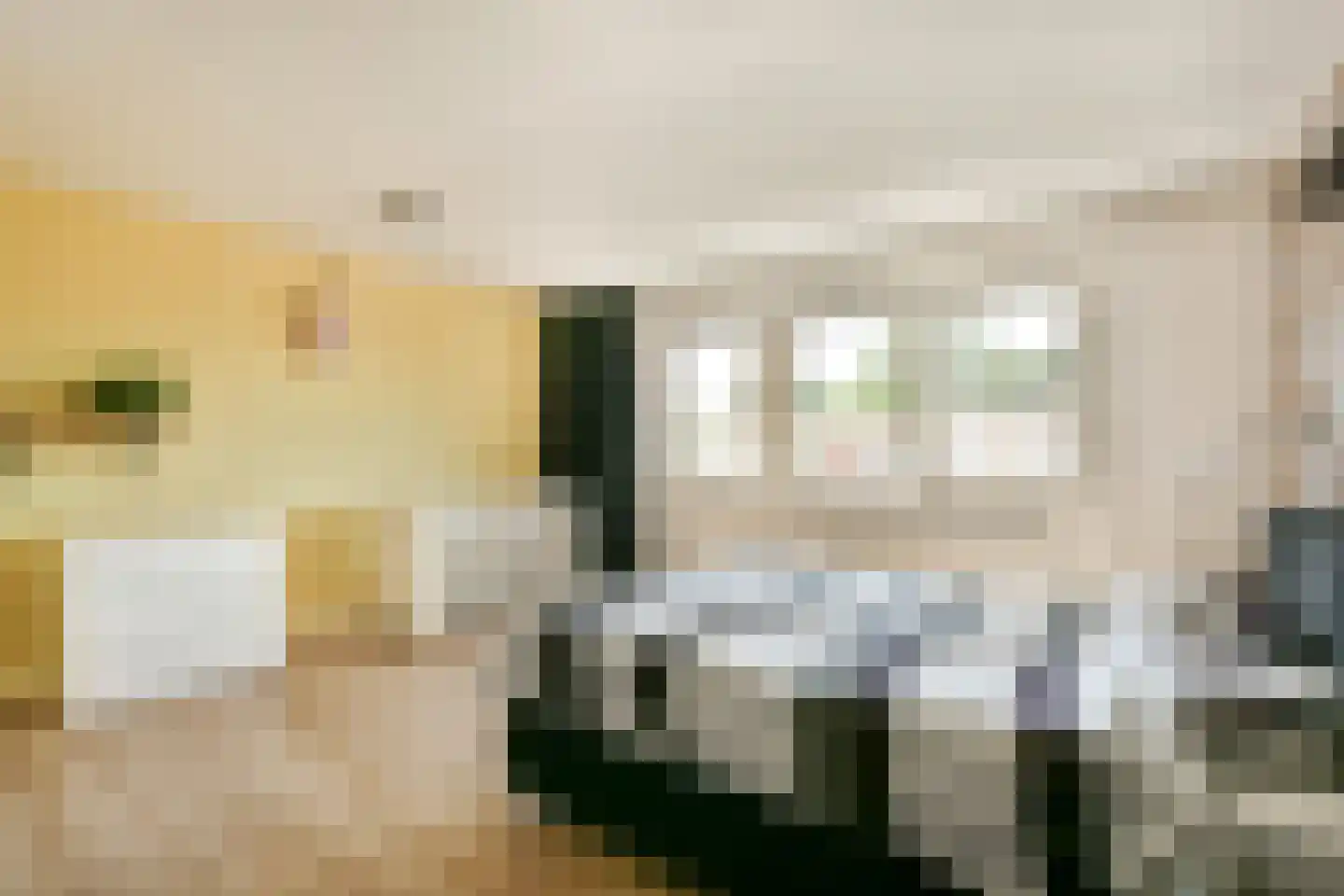 Leeuwenburg 27 Alphen aan den Rijn thumbnail 22