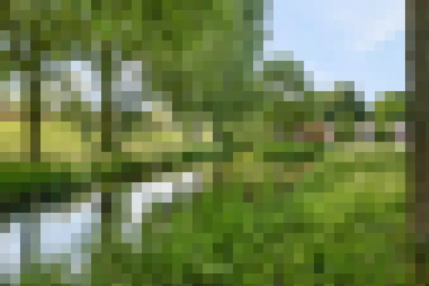 Leeuwenburg 27 Alphen aan den Rijn thumbnail 26
