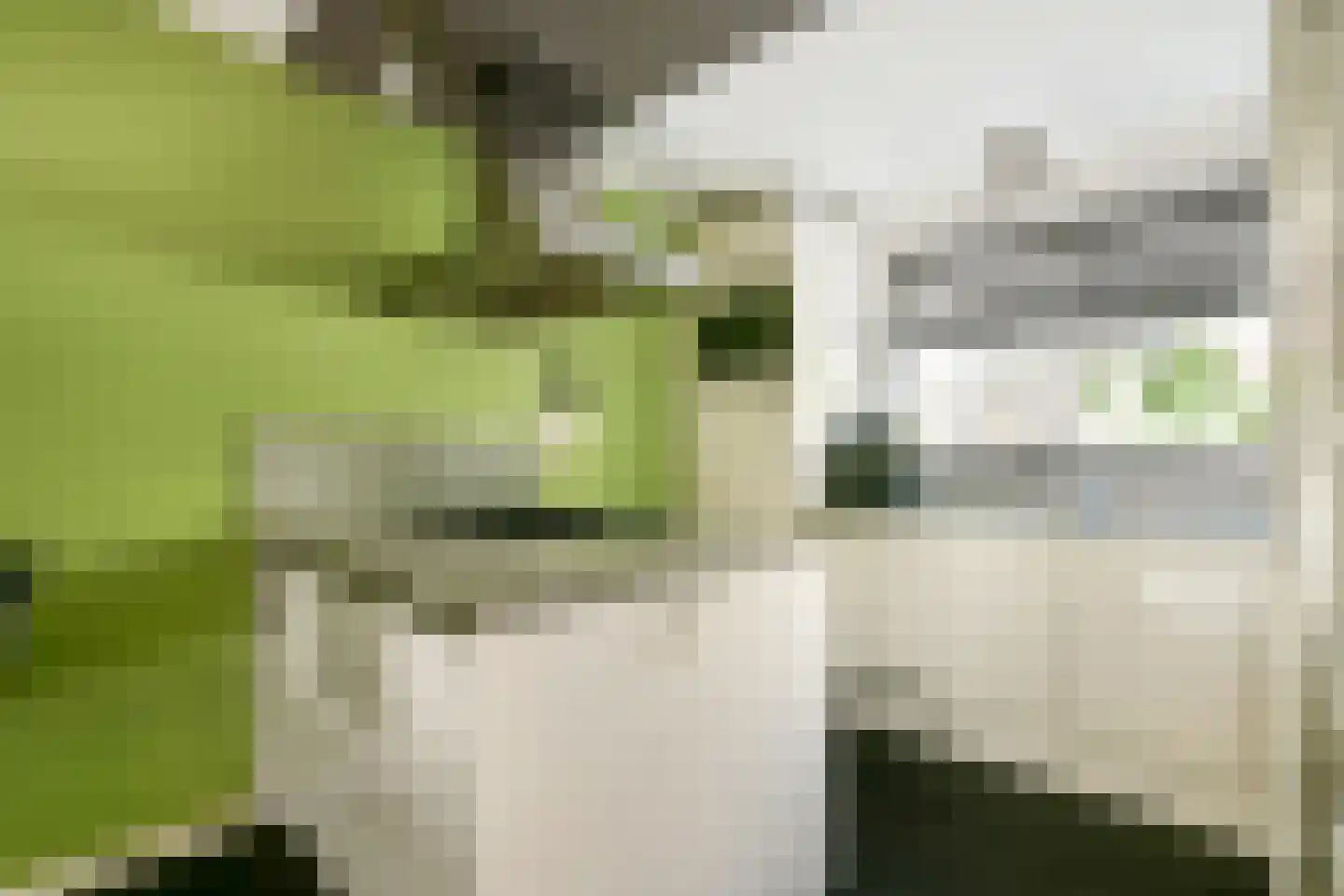 Leeuwenburg 27 Alphen aan den Rijn thumbnail 7