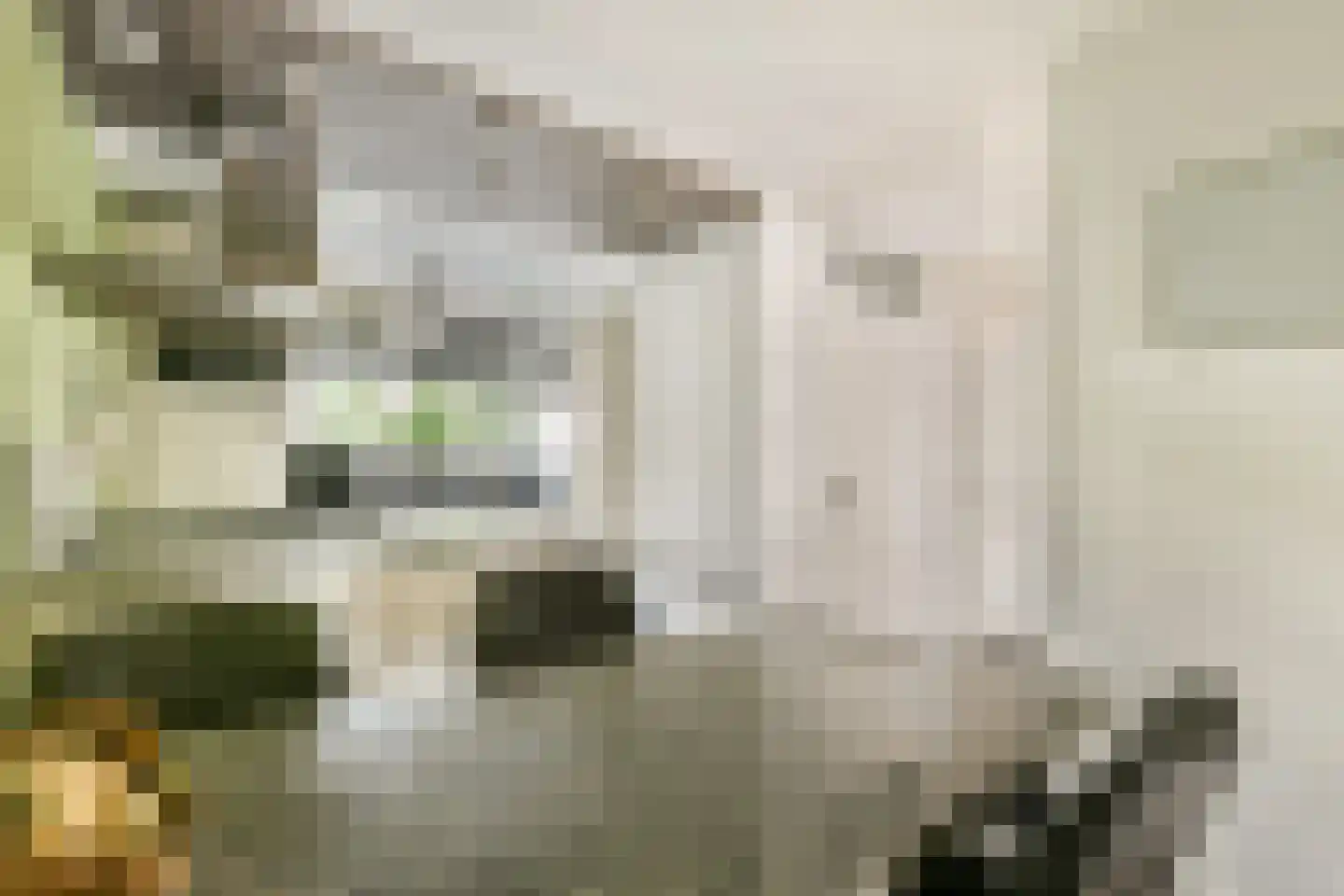 Leeuwenburg 27 Alphen aan den Rijn thumbnail 9