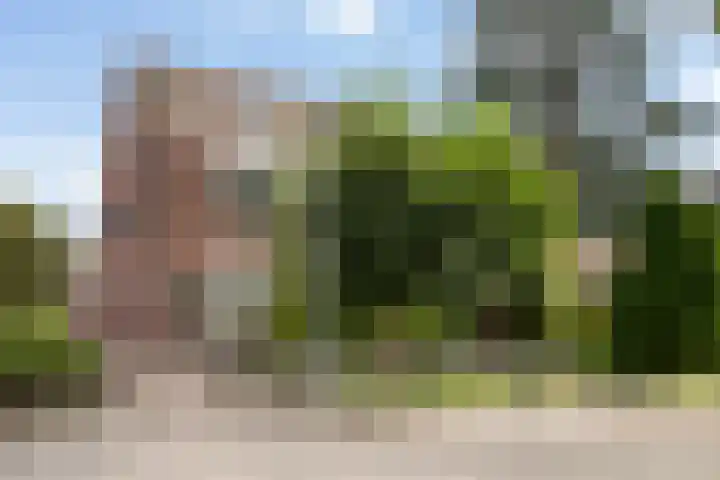 Leeuwenburg 8 in Gouda