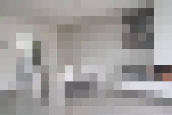 Leeuwenburg 8 Barendrecht thumbnail 12