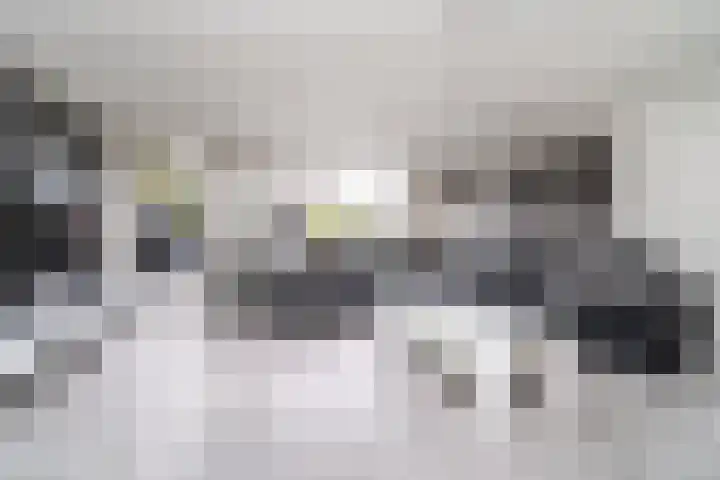 Leeuwenburg 8 Barendrecht thumbnail 6