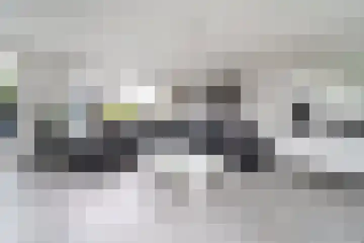 Leeuwenburg 8 Barendrecht thumbnail 7