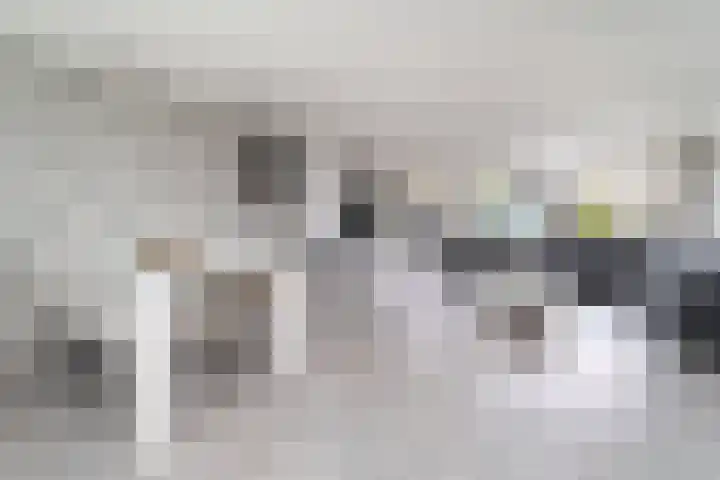 Leeuwenburg 8 Barendrecht thumbnail 9