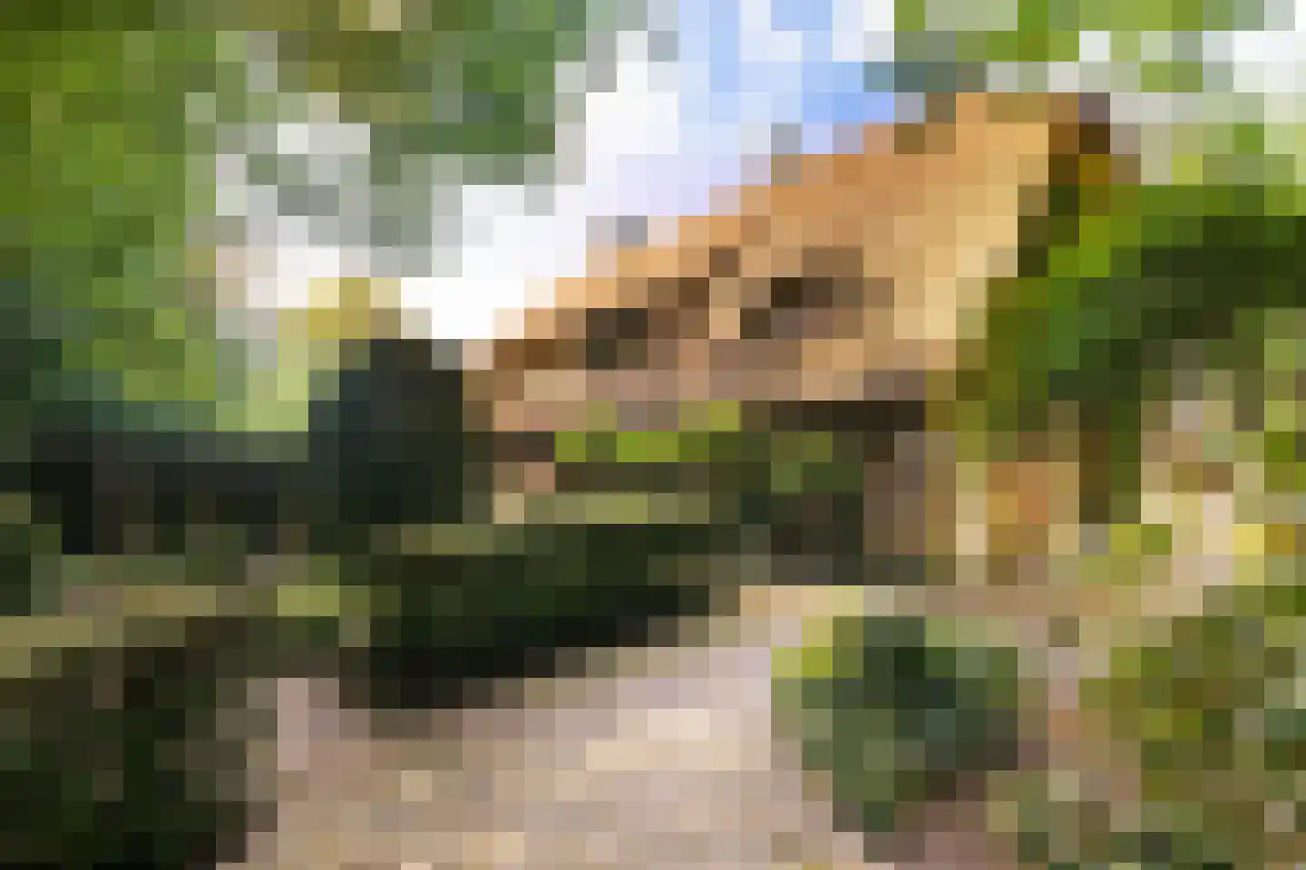 Leeuwenburgerlaan 4 Doorn thumbnail 10