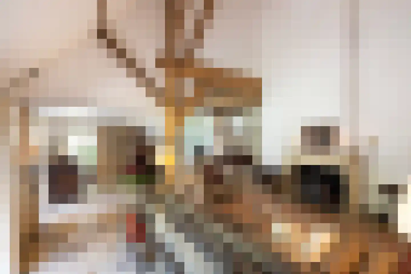 Leeuwenburgerlaan 4 Doorn thumbnail 13