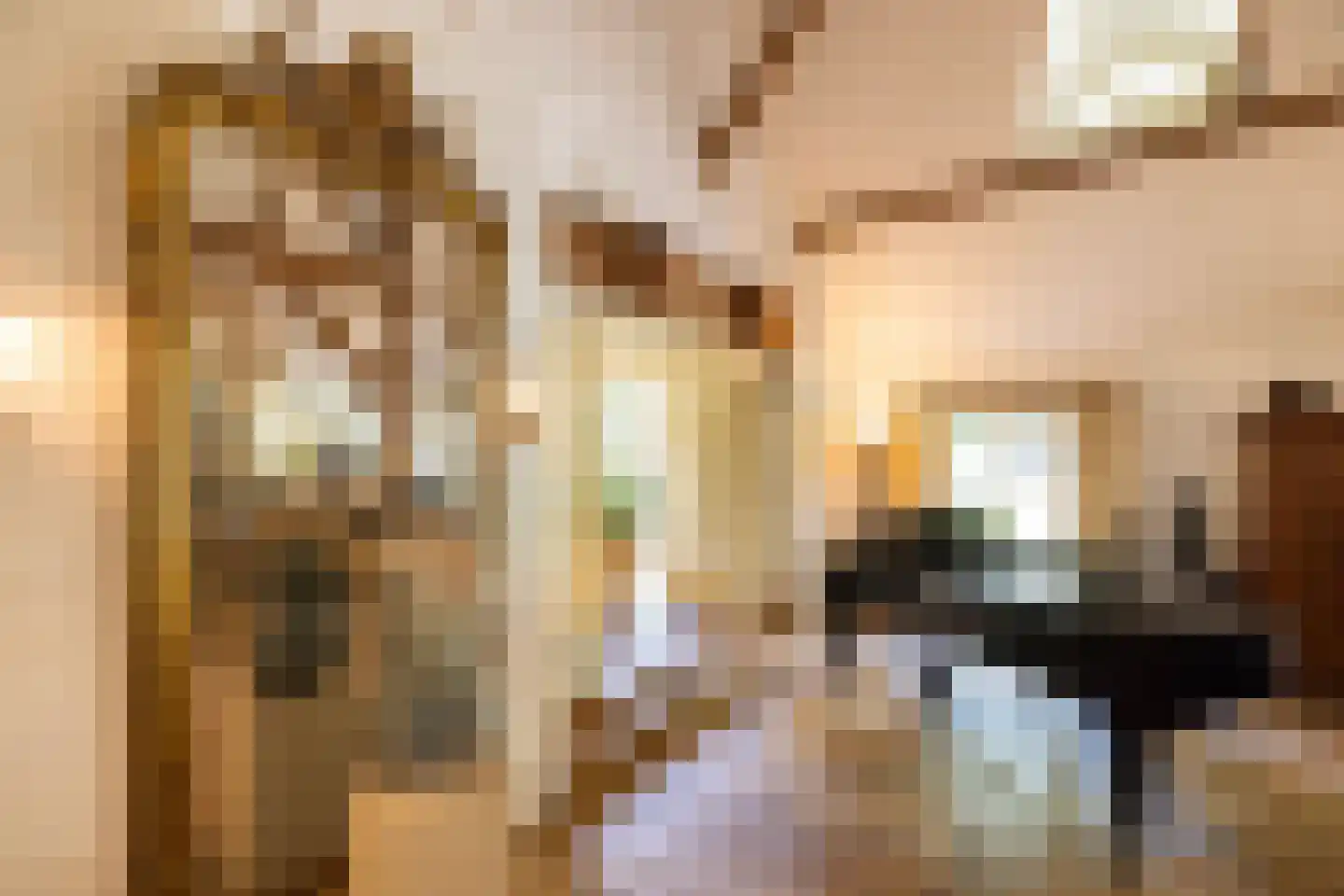 Leeuwenburgerlaan 4 Doorn thumbnail 14