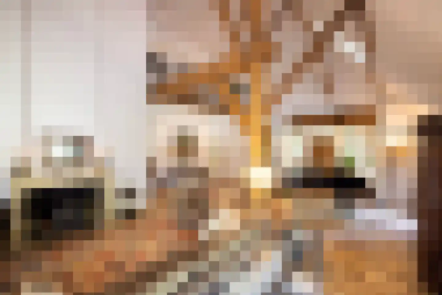 Leeuwenburgerlaan 4 Doorn thumbnail 15