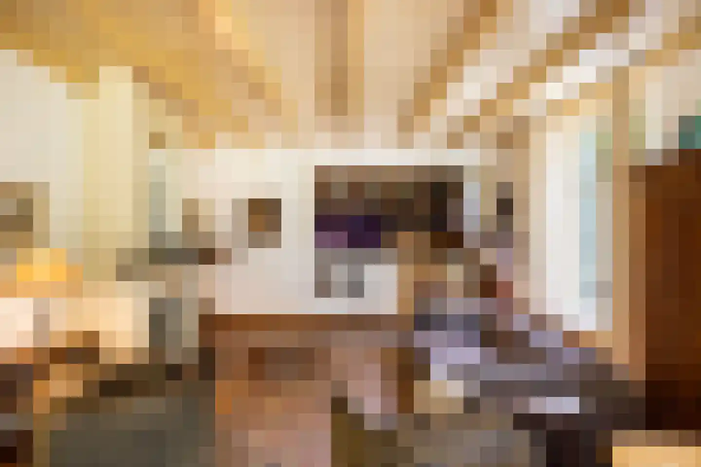 Leeuwenburgerlaan 4 Doorn thumbnail 17