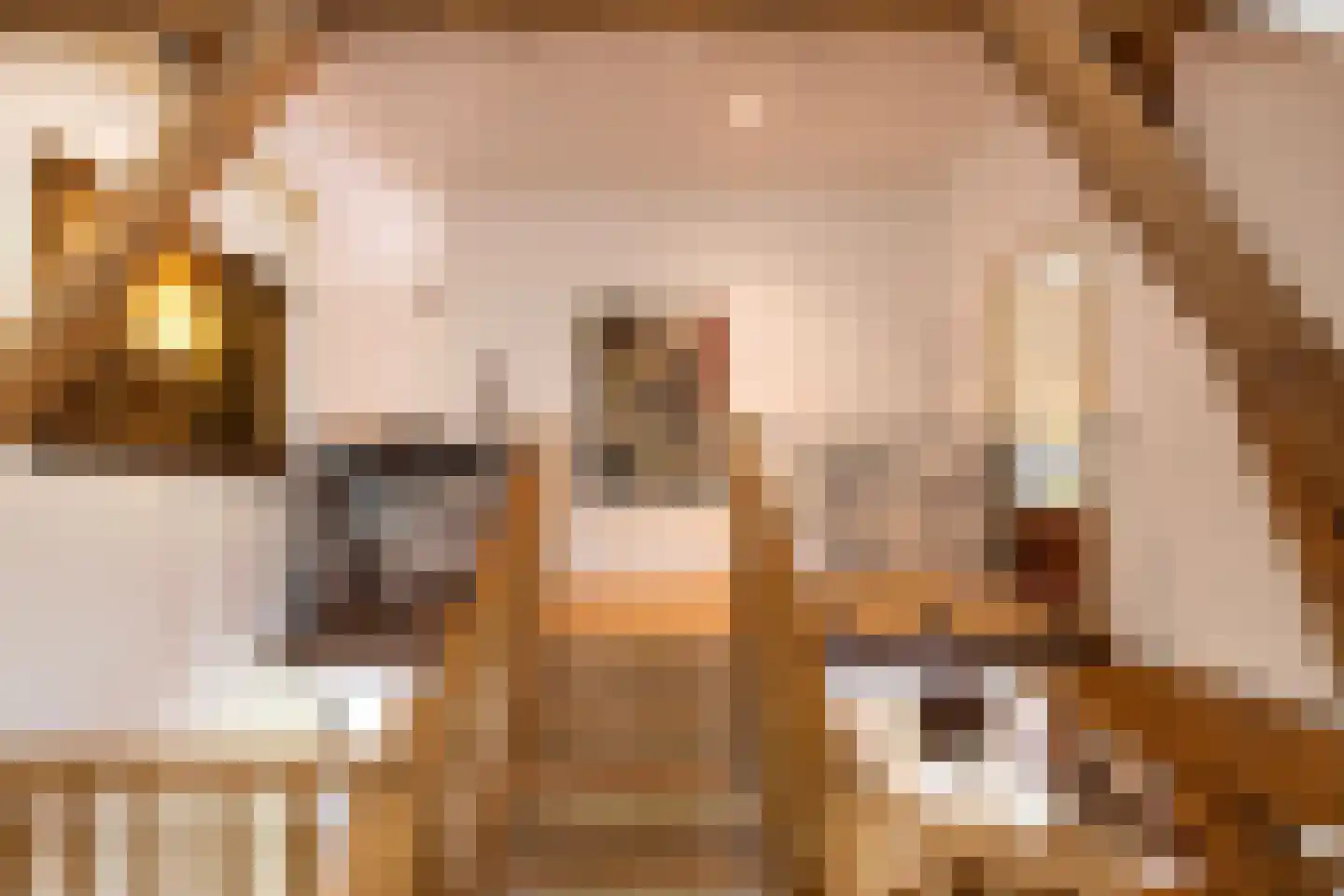 Leeuwenburgerlaan 4 Doorn thumbnail 21