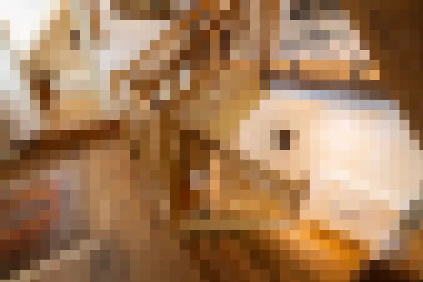 Leeuwenburgerlaan 4 Doorn thumbnail 22