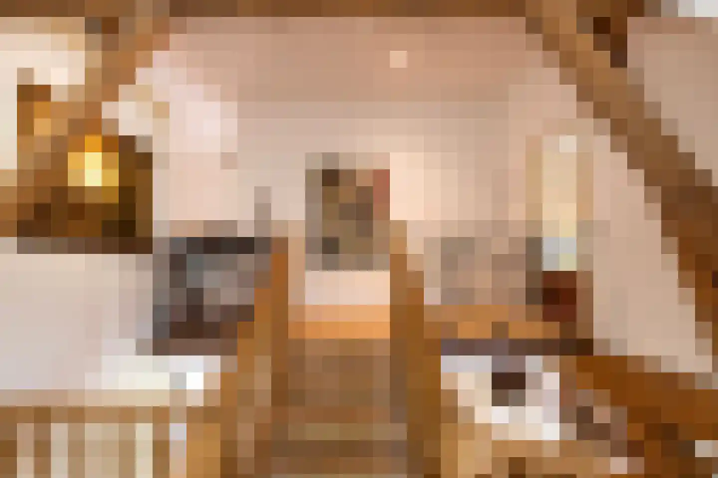 Leeuwenburgerlaan 4 Doorn thumbnail 22