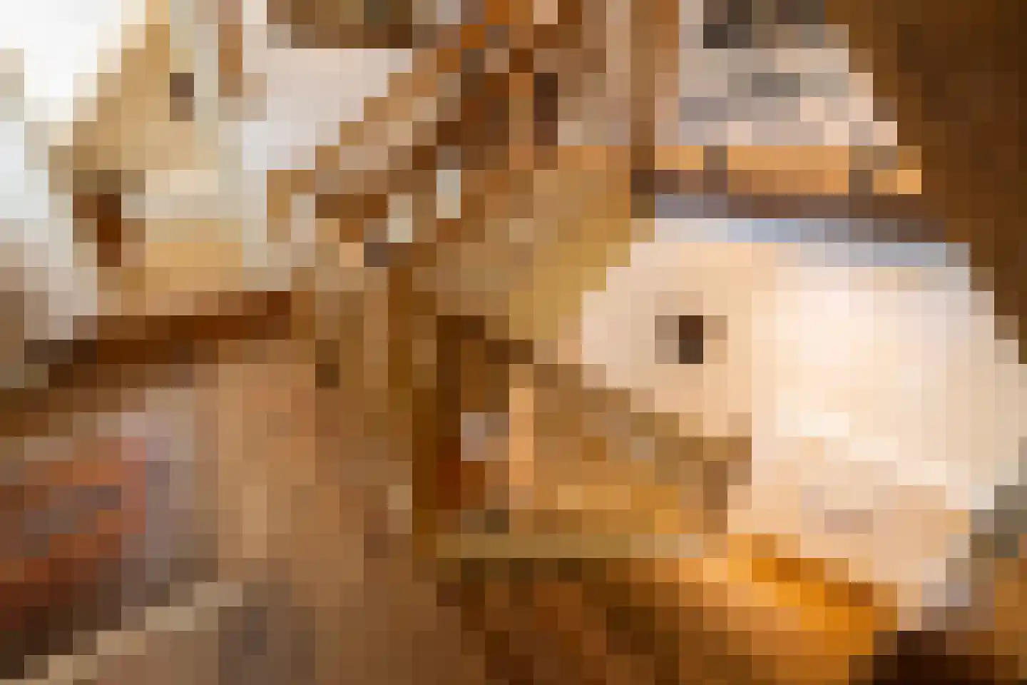 Leeuwenburgerlaan 4 Doorn thumbnail 23