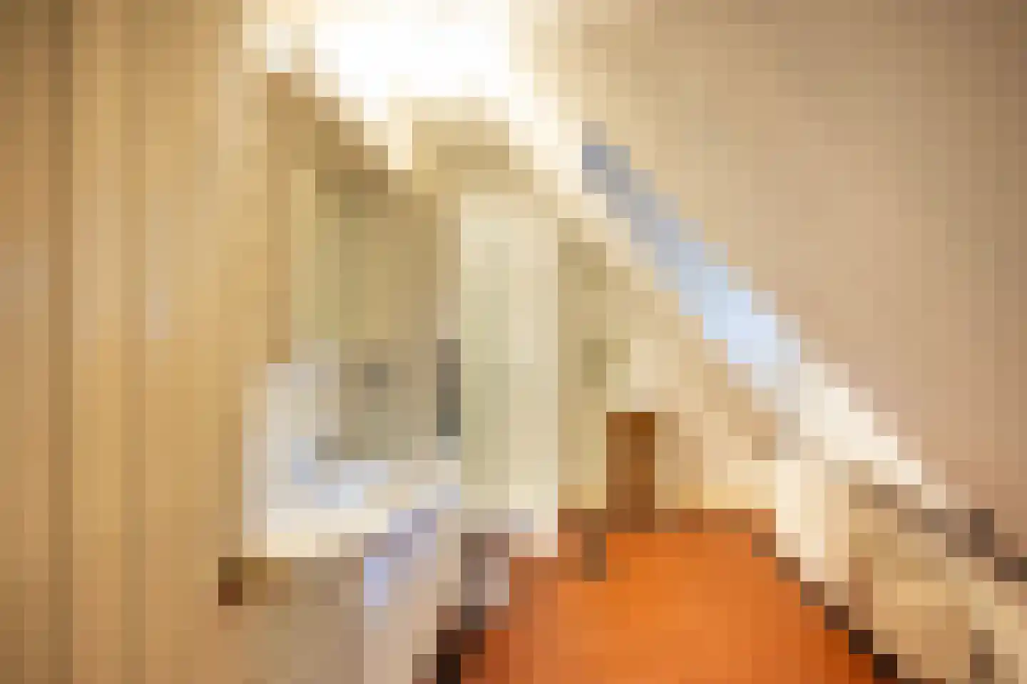 Leeuwenburgerlaan 4 Doorn thumbnail 24