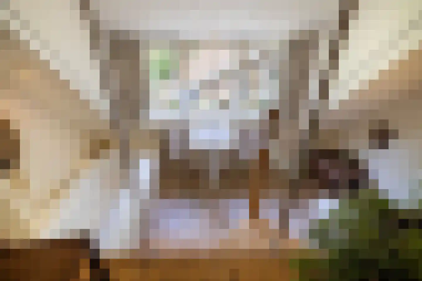 Leeuwenburgerlaan 4 Doorn thumbnail 30