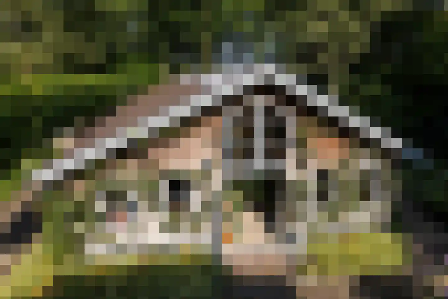 Leeuwenburgerlaan 4 Doorn thumbnail 30