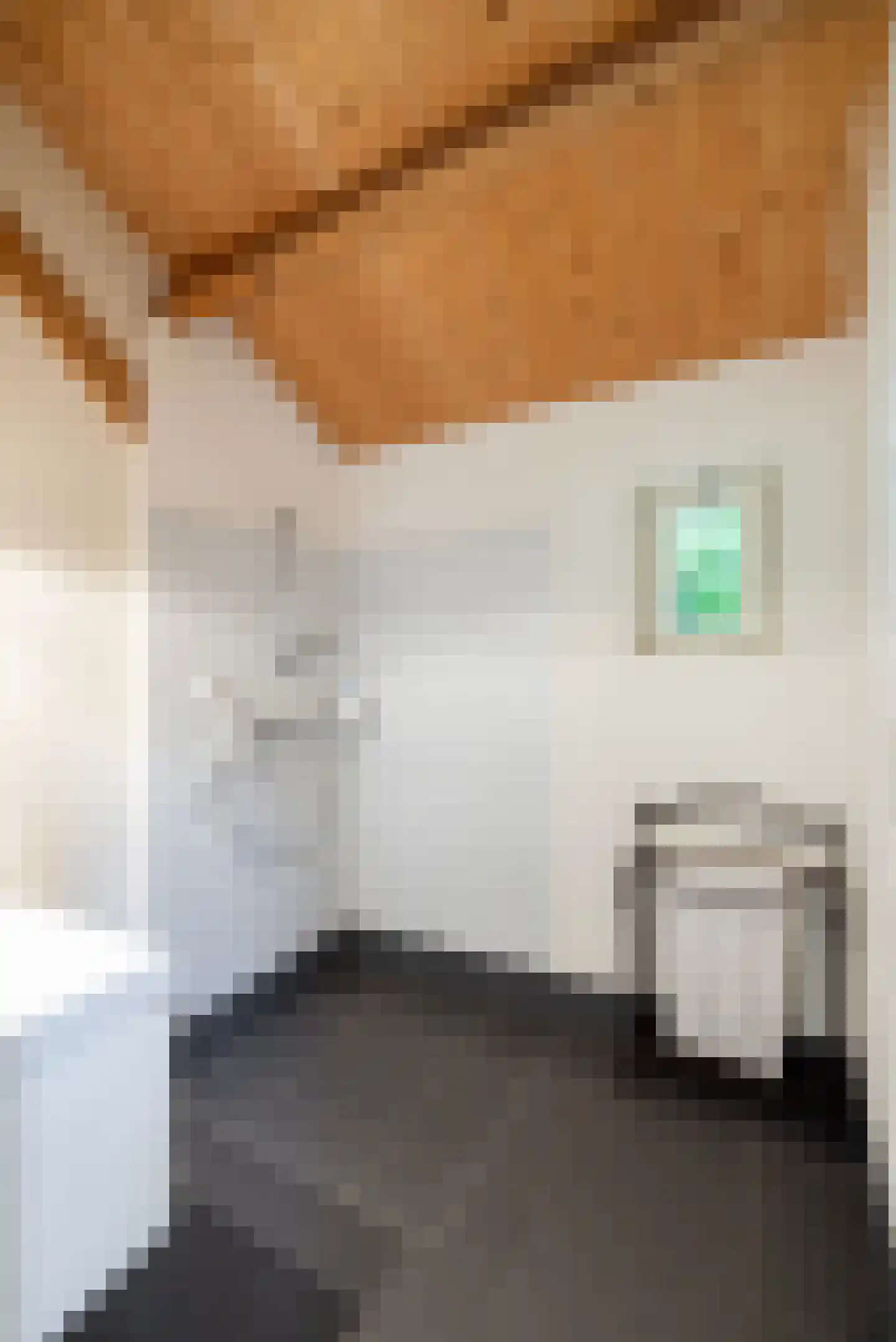 Leeuwenburgerlaan 4 Doorn thumbnail 35