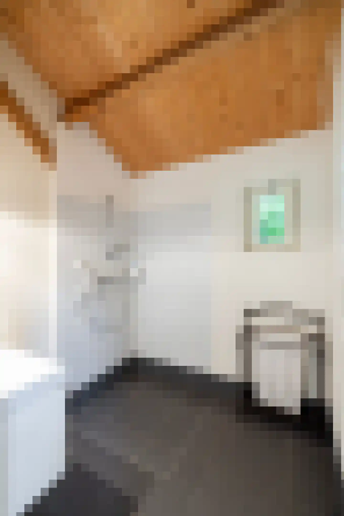 Leeuwenburgerlaan 4 Doorn thumbnail 36