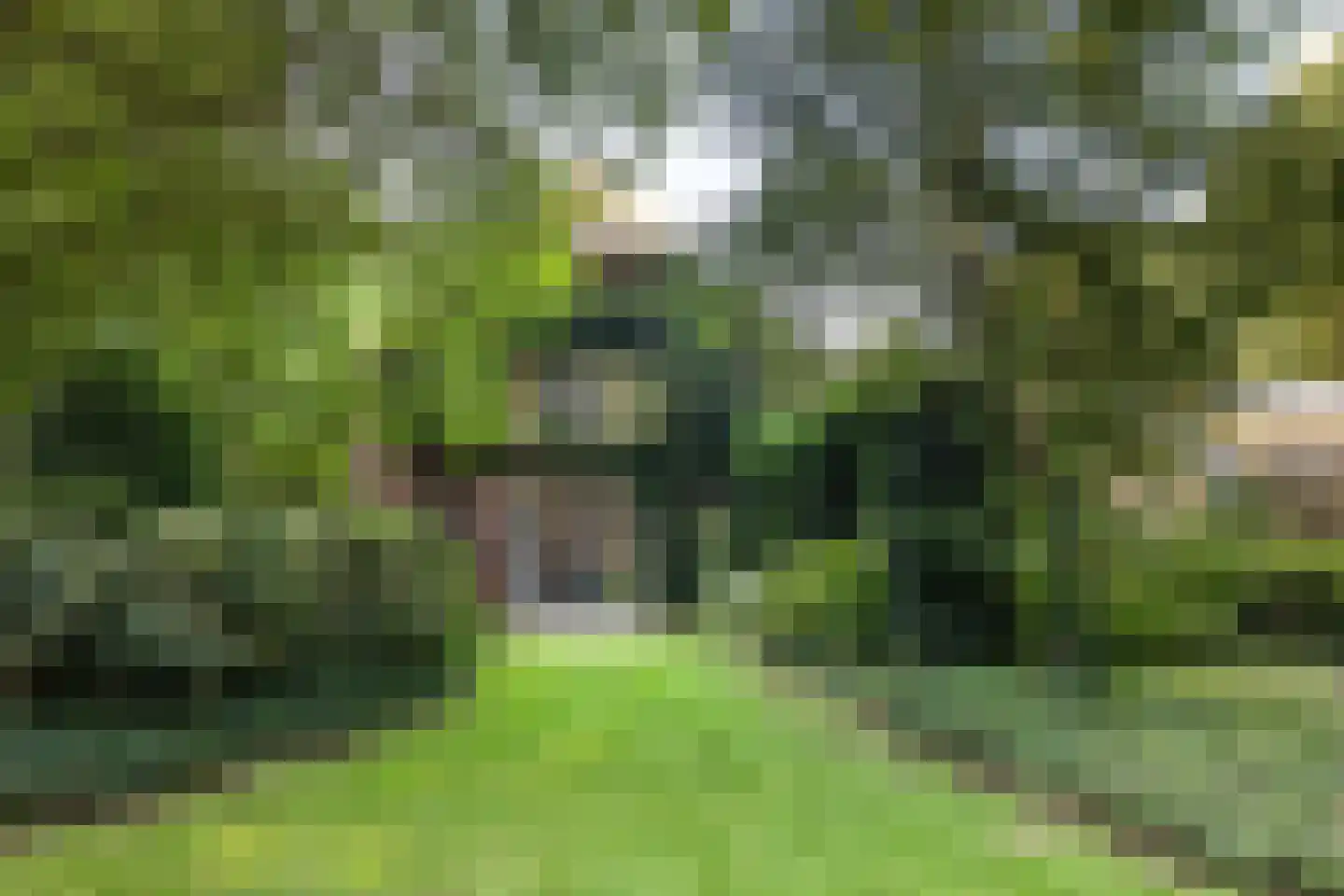 Leeuwenburgerlaan 4 Doorn thumbnail 4