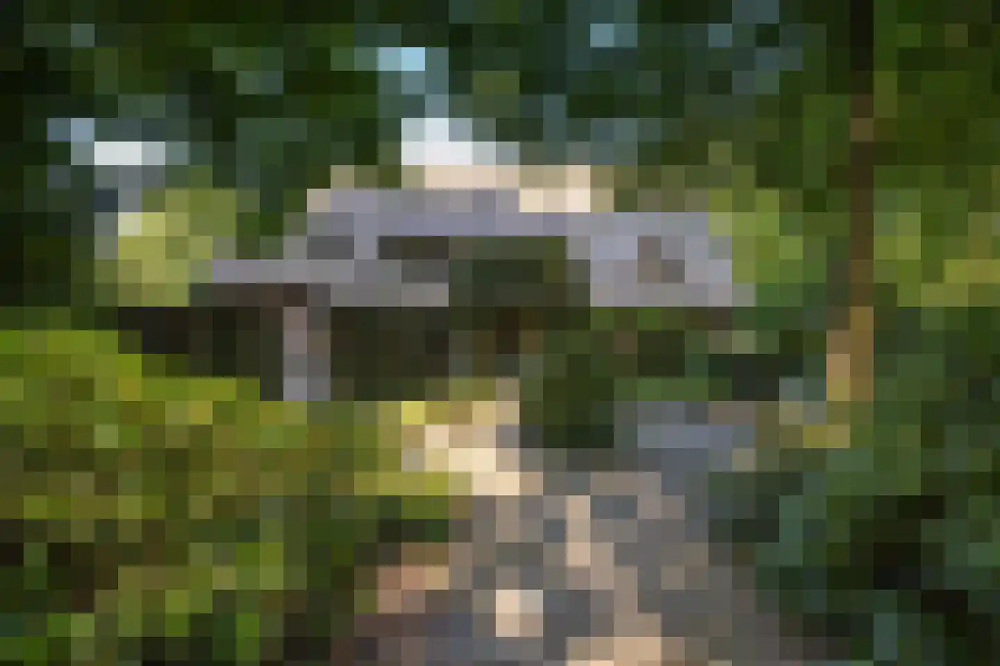 Leeuwenburgerlaan 4 Doorn thumbnail 41
