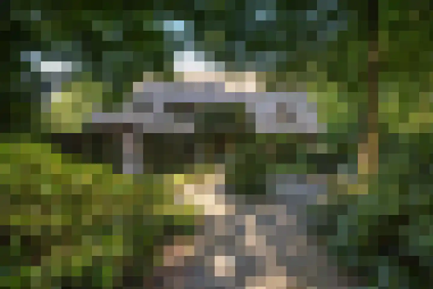 Leeuwenburgerlaan 4 Doorn thumbnail 42