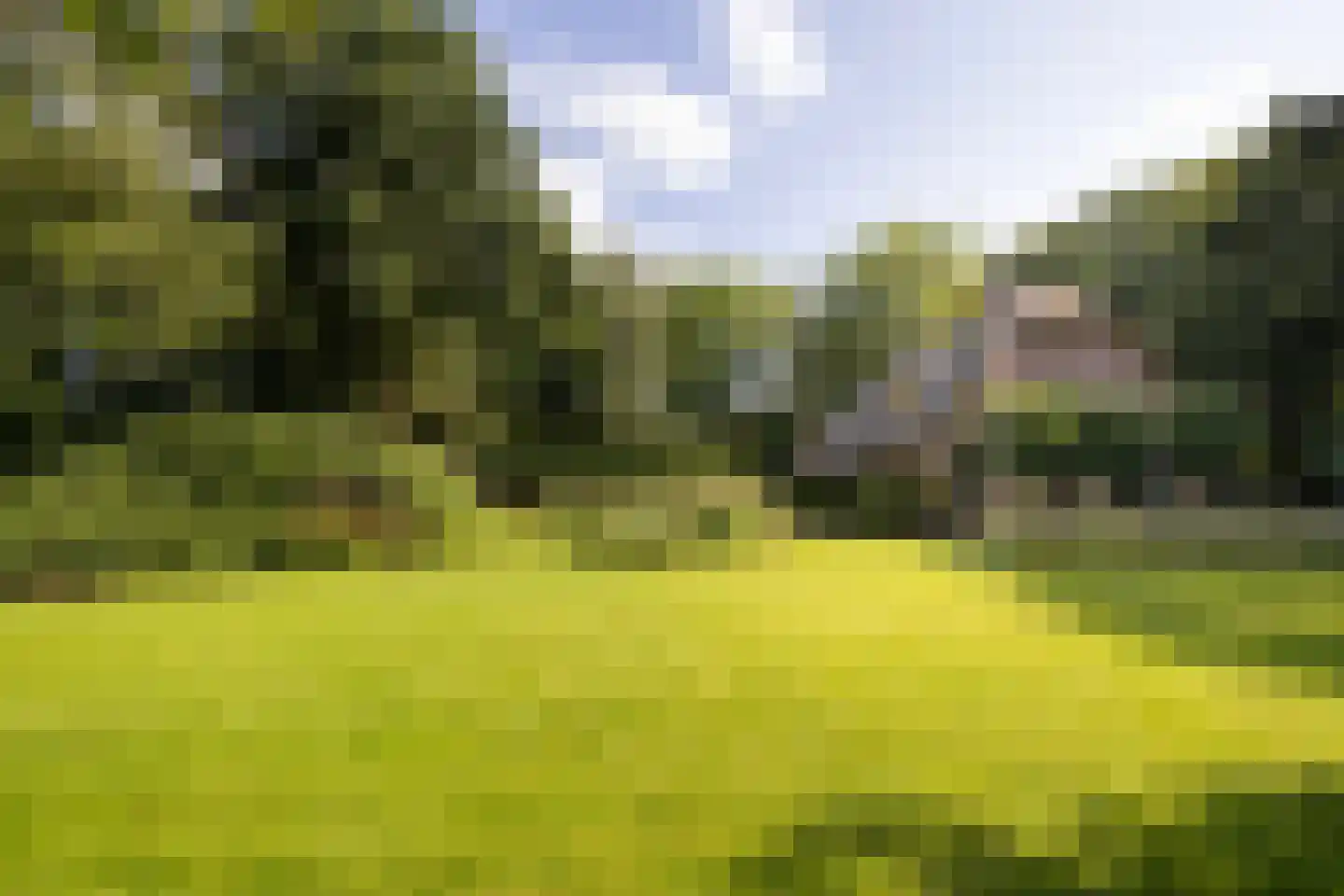 Leeuwenburgerlaan 4 Doorn thumbnail 42